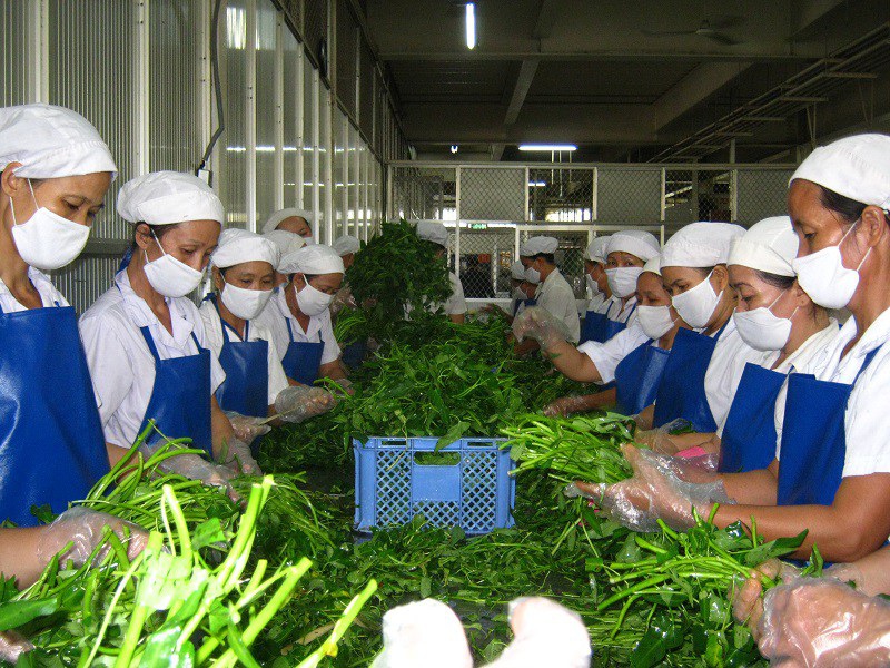 Công Ty Chế Biến Thực Phẩm Thanh Hóa – cung cấp suất ăn công nghiệp uy tín tại Thanh Hóa